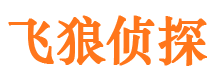 方山市私家侦探